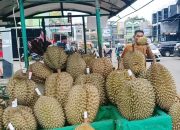 Bos Durian Keudah Hadirkan Si Raja Buah Musang King hingga Duri Hitam