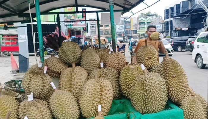 Bos Durian Keudah Hadirkan Si Raja Buah Musang King hingga Duri Hitam