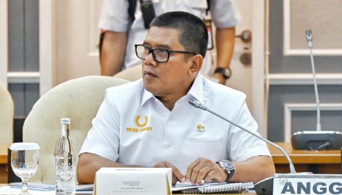 Muslim Ayub Pernah Ingatkan Soal Dampak Pembalakan Liar di Aceh Tamiang dan Sumut, Kini Terbukti?