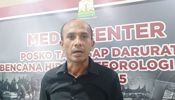 Pemerintah Aceh Tegaskan Aturan Pengelolaan Kayu di Lokasi Banjir Bandang dan Longsor