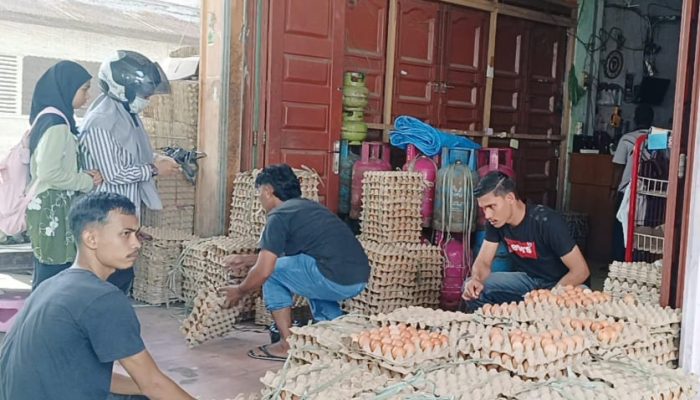 Stok Telur di Banda Aceh Menipis, Satu Papan Dijual Rp 90 Ribu