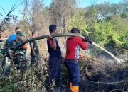Karhutla Hanguskan 17 Hektare Lahan di Aceh Barat, Pemadaman Masih Berlangsung