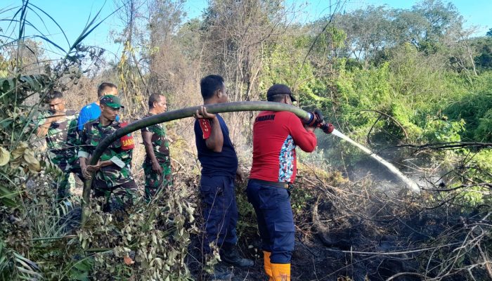 Karhutla Hanguskan 17 Hektare Lahan di Aceh Barat, Pemadaman Masih Berlangsung