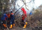 Upaya Pemadaman Karhutla Terus Berlangsung di Aceh Barat, Lebih 50 Hektare Lahan Terbakar