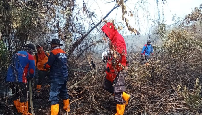 Upaya Pemadaman Karhutla Terus Berlangsung di Aceh Barat, Lebih 50 Hektare Lahan Terbakar