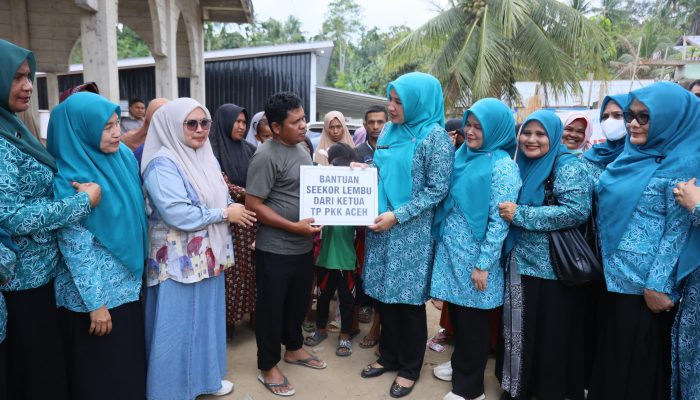Kak Na Serahkan Bantuan Sapi Meugang di Sawang