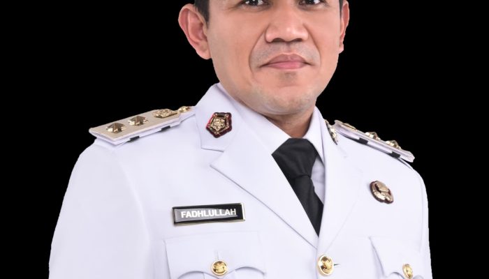 Dana sudah ditransfer, Wagub Aceh Apresiasi Presiden Prabowo