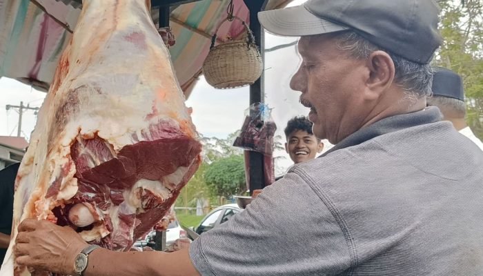 Jelang Meugang Ramadan 1447 H, Harga Daging Sapi di Beurawe Tembus Rp170 Ribu per Kilogram