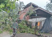 Angin Kencang dan Hujan Deras, Rumah Warga di Lembah Seulawah Tertimpa Pohon