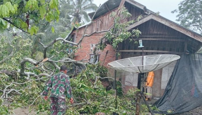 Angin Kencang dan Hujan Deras, Rumah Warga di Lembah Seulawah Tertimpa Pohon