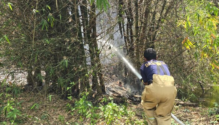 Rumpun Bambu di Gampong Bada Terbakar, Damkar BPBD Aceh Besar Sigap Lakukan Pemadaman