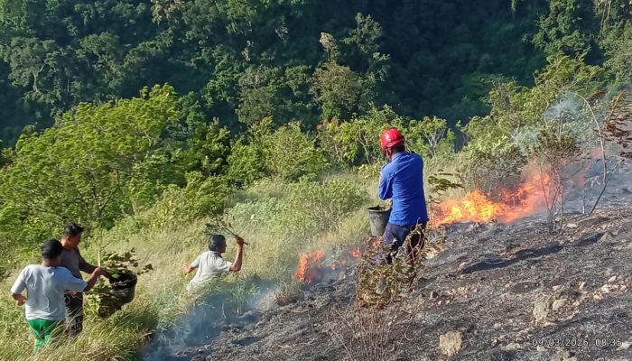 Petugas dan Warga Padamkan Kebakaran Lahan di Kawasan Wisata Glee Taron