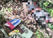 Aparat Gabungan TNI–Polri Tindak Anggota KKB Pimpinan Aibon Kogoya di Bukit Signal Nabire