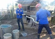 Damkar BPBD Aceh Besar Evakuasi Ular Piton 3 Meter di Peukan Bada