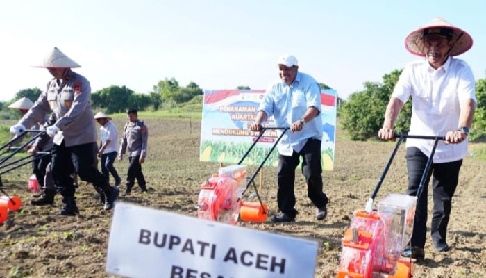 Dukung Swasembada Pangan Nasional, Wabup Syukri Tanam Jagung Bersama Kapolda Aceh di Seulimeum