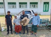BPBD Aceh Besar Evakuasi Sarang Tawon di Pesantren Al Muhajirin