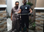 BPBD Aceh Besar Lakukan Evakuasi Ular Masuk Ke Rumah Warga