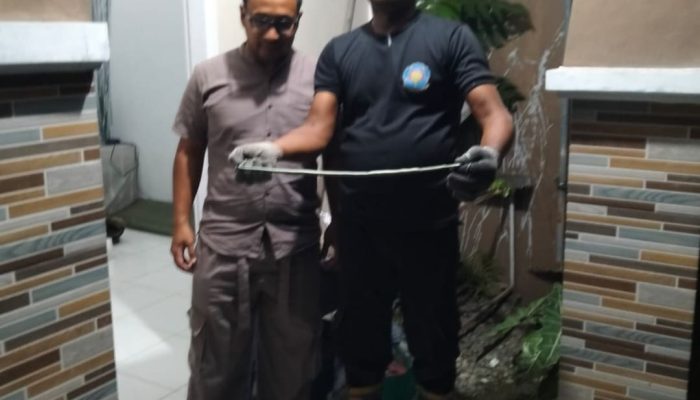 BPBD Aceh Besar Lakukan Evakuasi Ular Masuk Ke Rumah Warga