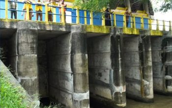 Pemkab Aceh Besar Resmi Mulai Musim Tanam Gadu 2026, Pintu Intake D.I Krueng Aceh Dibuka