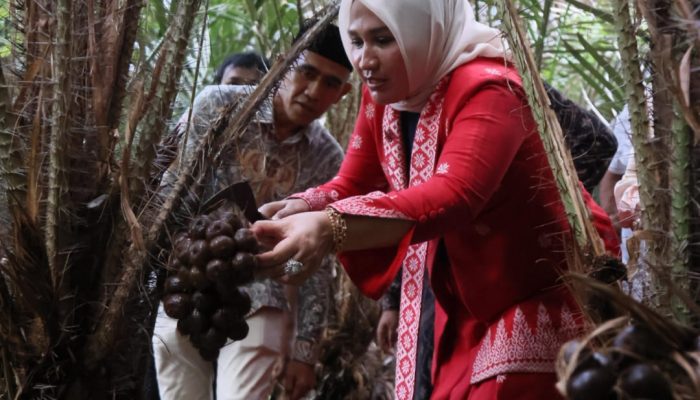 Kak Na Apresiasi Cokbang, Bukti Aceh Mampu Bangun Industri Kakao Hulu-Hilir Mandiri