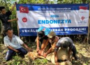 100 Ekor Sapi Kurban dari Turkiye Disembelih di Dayah Irsyadul Abidin, Ribuan Warga Aceh Terima Manfaat