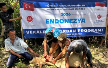 100 Ekor Sapi Kurban dari Turkiye Disembelih di Dayah Irsyadul Abidin, Ribuan Warga Aceh Terima Manfaat