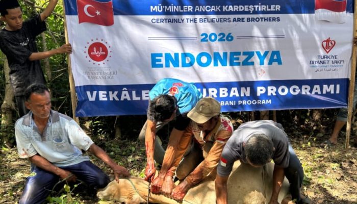 100 Ekor Sapi Kurban dari Turkiye Disembelih di Dayah Irsyadul Abidin, Ribuan Warga Aceh Terima Manfaat