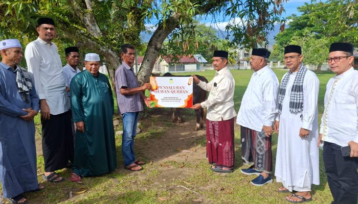 Wakil Bupati Salurkan Hewan Qurban Pemkab Aceh Besar untuk Masyarakat