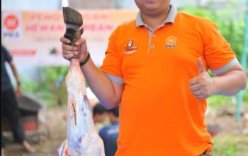 Tujuh Tahun Berturut-turut, Fraksi PKS DPRK Banda Aceh Salurkan Sapi Kurban untuk Masyarakat