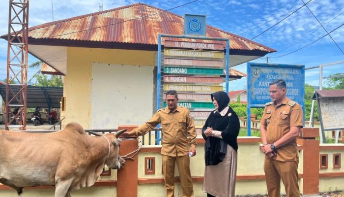 Pemko Banda Aceh Salurkan Hewan Kurban ke Gampong Minim Kurban