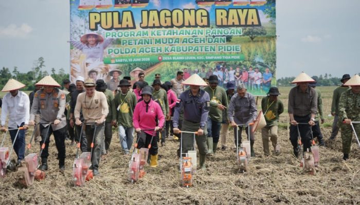 Wakapolda Aceh Luncurkan Penanaman Jagung Bersama Petani Muda Milenial di Pidie