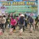 Wakapolda Aceh Luncurkan Penanaman Jagung Bersama Petani Muda Milenial di Pidie