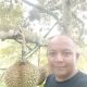 Gle Paro Leupung Surga Durian Premium Aceh Besar, Musang King Siap Panen Juli 2026
