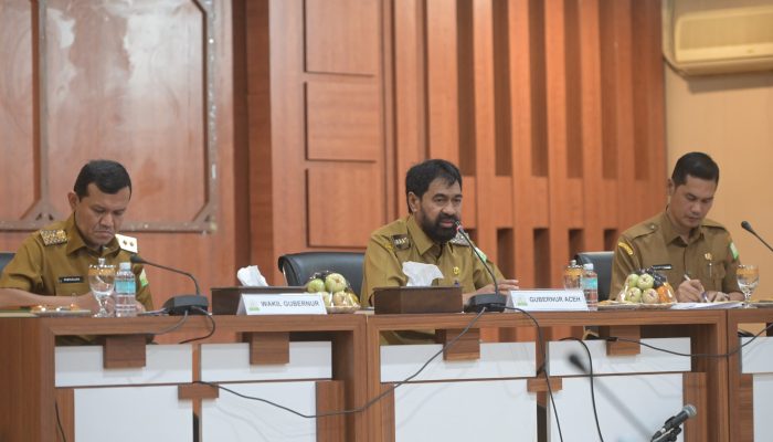 Reformasi Birokrasi Aceh Meningkat, Raih Predikat A- dari Kementerian PANRB