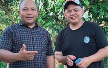 Pakar Durian Indonesia: Aceh Jaya Berpotensi Jadi Sentra Durian Unggul Nasional