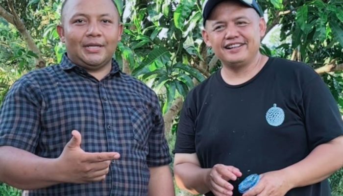 Pakar Durian Indonesia: Aceh Jaya Berpotensi Jadi Sentra Durian Unggul Nasional