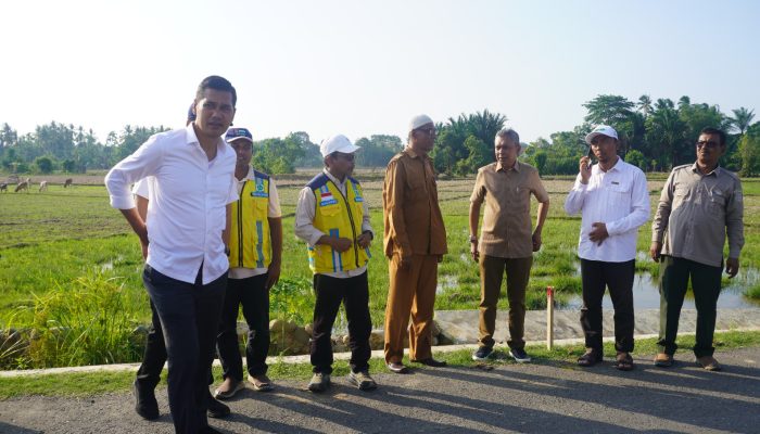 Sekda Aceh Tinjau Rehabilitasi Sawah di Aceh Timur, Targetkan Petani Segera Kembali Tanam