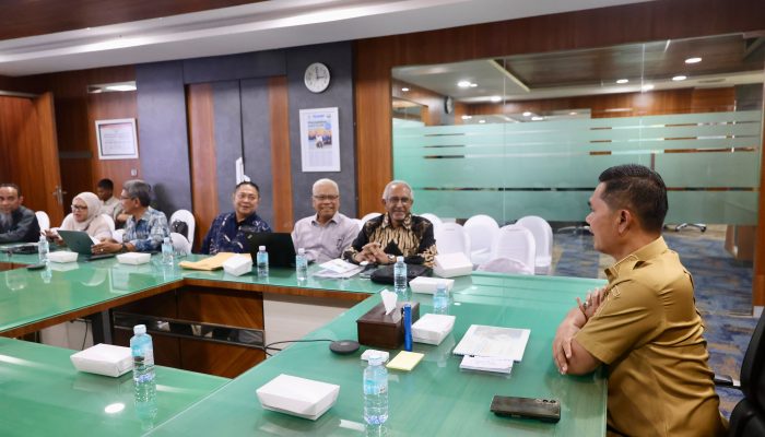 Migas Blok Andaman, Sejumlah Korporasi Lirik Hilirisasi KEK Arun