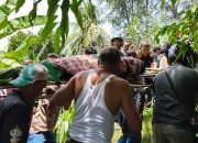 Warga Lamdingin Ditemukan Mengapung di Krueng Aceh, Polisi Lakukan Olah TKP