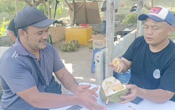 Pakar Durian Indonesia Sebut Durian Gankster Aceh Jaya Layak Jadi Durian Premium Nasional