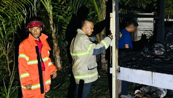 Kandang Kambing di Lamsie Daya Terbakar, Satu Ekor Ternak Mati