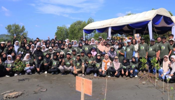 UKM PA Leuser USK Dukung Gerakan Peduli Lingkungan Lewat Penanaman 1.000 Mangrove