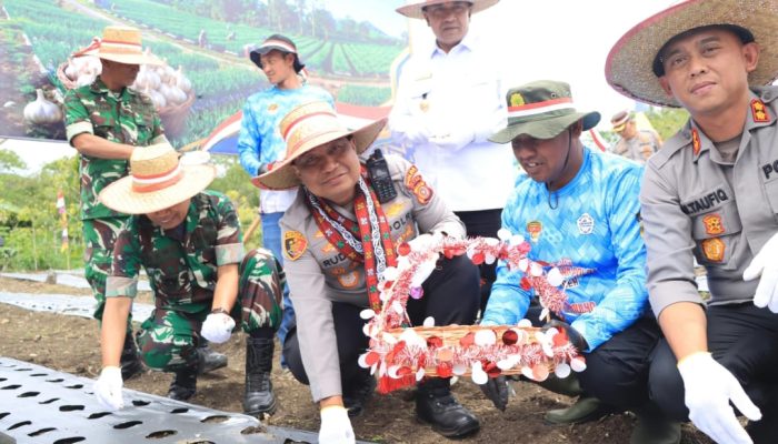 Dukung Swasembada Pangan, Kapolda Tanam Bawang Putih di Aceh Tengah