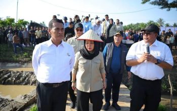 Pemerintah Aceh Jelaskan Mekanisme Bantuan Kementan Rp2,5 Triliun untuk Pemulihan Sawah dan Kebun
