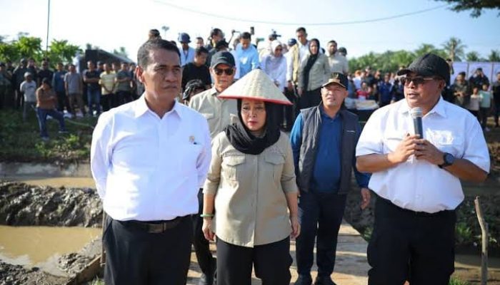 Pemerintah Aceh Jelaskan Mekanisme Bantuan Kementan Rp2,5 Triliun untuk Pemulihan Sawah dan Kebun