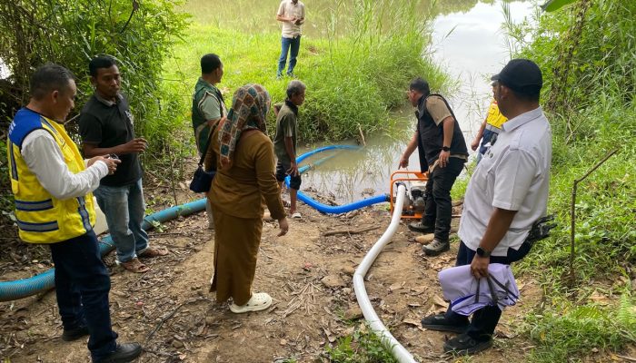 Harapan Petani Kuta Cot Glie Kembali Tumbuh, Pompanisasi Jaga Sawah dari Ancaman Kekeringan