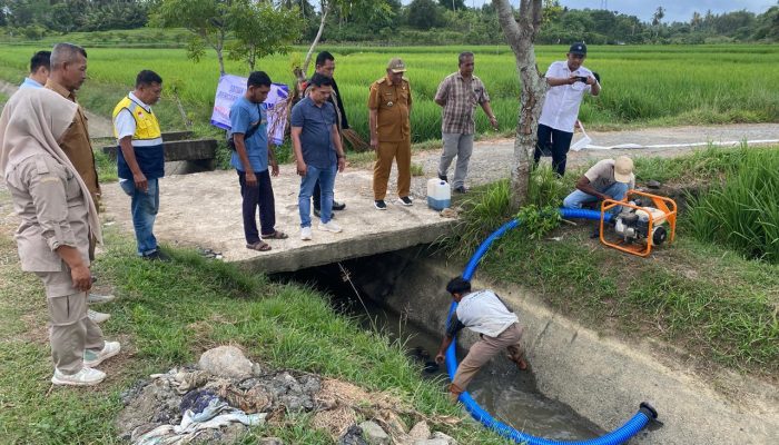 Pemkab Aceh Besar Jaga Produktivitas Sawah di Musim Kemarau