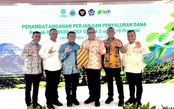 Capaian Penurunan Emisi Diakui, Gubernur Mualem Perkuat Tata Kelola Hutan Aceh