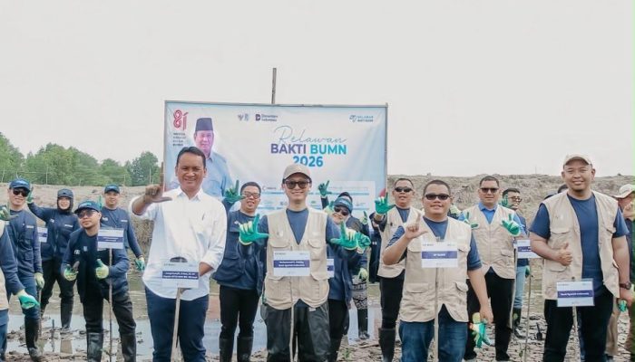 BSI dan Relawan Bakti BUMN Tanam 15.000 Mangrove di Aceh Tamiang