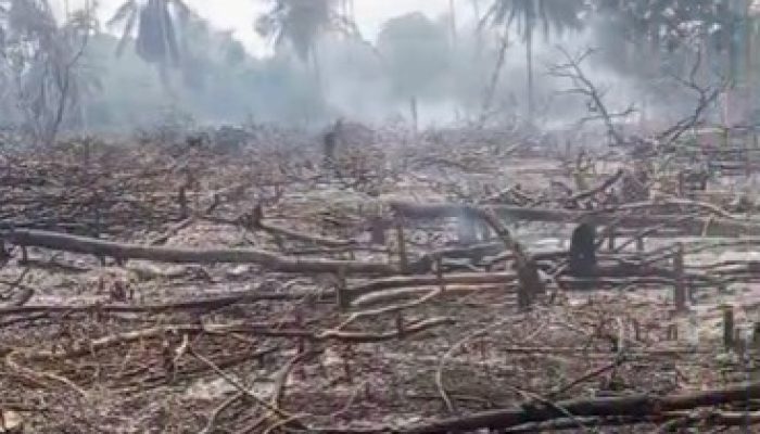 Karhutla di Lamtamot, Tiga Hektare Lahan Terbakar
